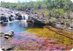 colombia
