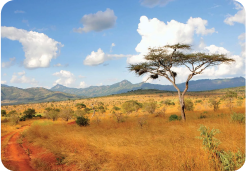 kenya