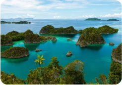 papua_new_guinea